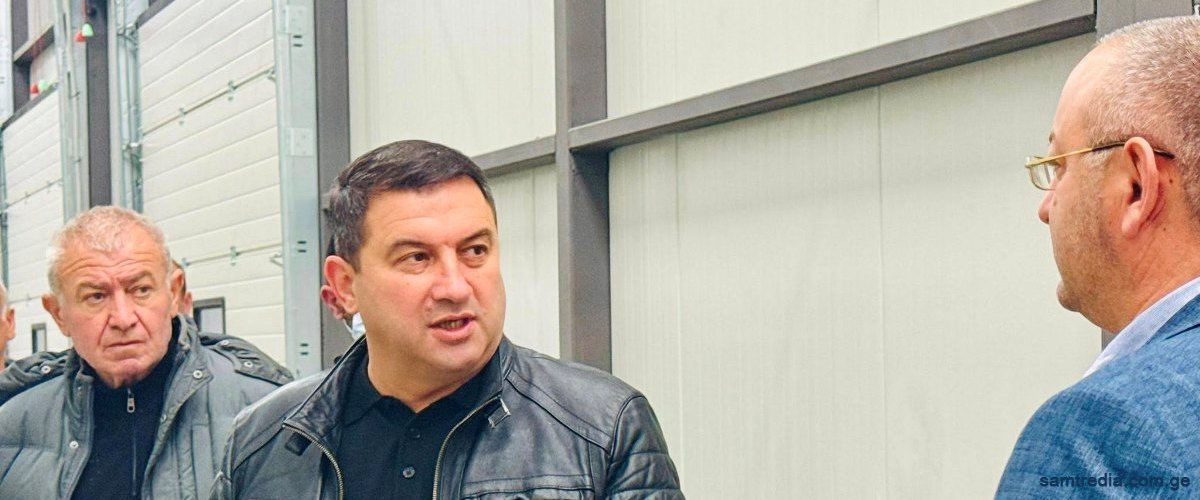 სამტრედიის მერმა დავით ბახტაძემ  საინვესტიციო პროექტები დაათვალიერა